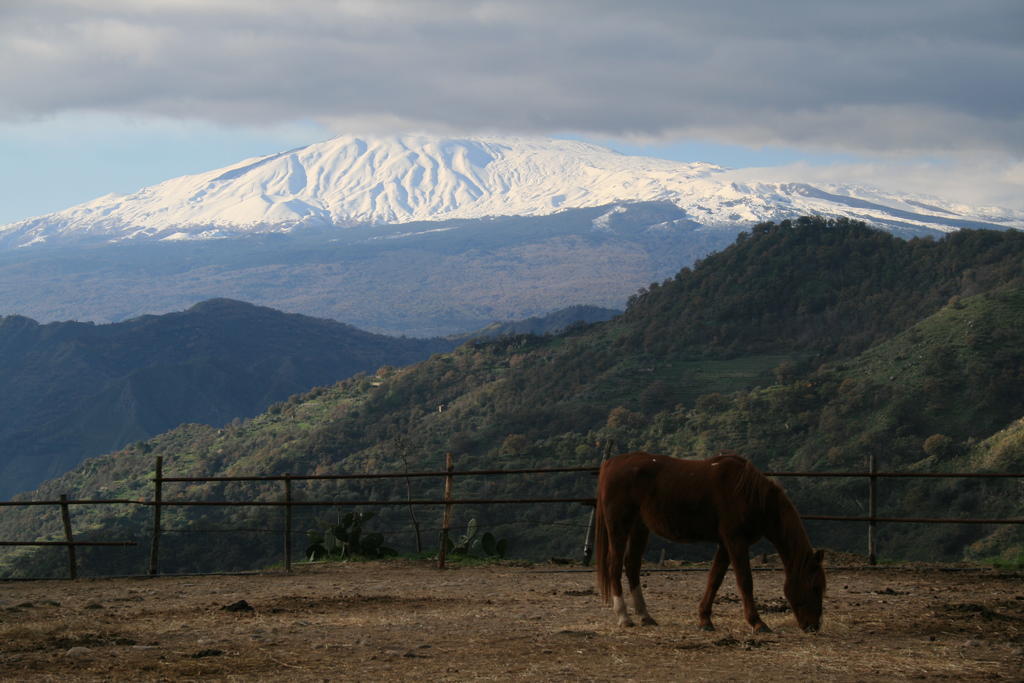 Motta Camastra Agriturismo San Cataldo מראה חיצוני תמונה